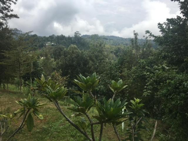 Milemeleni Guesthouse Lushoto Luaran gambar